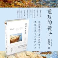 音像重现的镜子/林贤治自选集林贤治