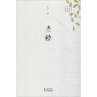 音像麦粒丁丁 著