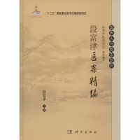 音像段富津医案精编段富津 主编