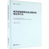 音像电沉积铜和铜合金过程中的电化学行为丁莉峰,牛宇岚著