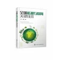 音像全球能源互联网关键技术编者:袁飞//黄珊