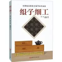音像组子细工(美)马特·肯尼著