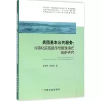 音像兵团基本公共服务崔登峰,朱金鹤 著