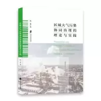 音像区域大气污染协同治理的理论与实践程进著