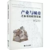 音像产业与城市:芝加哥的转型发展胡晓玲[等]著