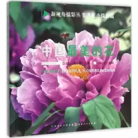 音像中国的花白山杉,刘小蓉 主编