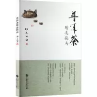 音像普洱茶精选指南坤土之木著