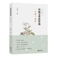 音像中国文学佳作选·中篇小说卷王晓君
