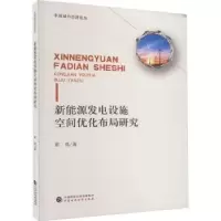 音像新能源发电设施空间优化布局研究崔亮著