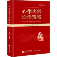 音像心律失常诊治策略:::詹洪吉,王福军主编