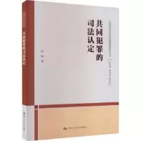 音像共同犯罪的司法认定沈琪著