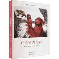 音像红毛猎犬传奇(美)吉姆·凯尔高
