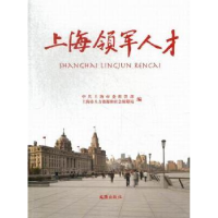 音像上海领军人才毛大立主编