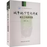 音像城市地下空间开发岩土工程新进展龚晓南主编