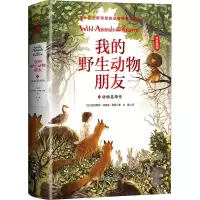 音像我的野生动物朋友 3 动物英雄传(加)欧内斯·汤森·西顿