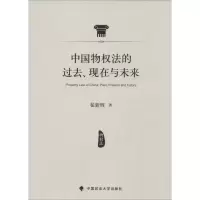 音像中国物权法的过去、现在与未来翟新辉 著