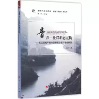 音像音声-社群形态互构白雪 著