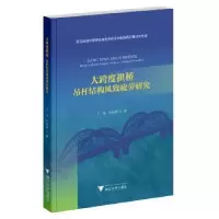音像大跨度拱桥:吊杆结构风致疲劳研究丁杨,叶肖伟著
