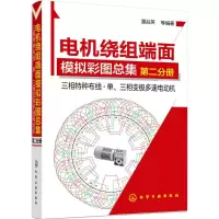 音像电机绕组端面模拟彩图总集潘品英 等 编著