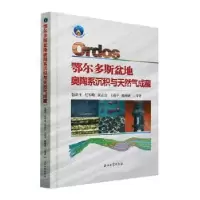 音像鄂尔多斯盆地奥陶系沉积与天然气成藏包洪平等著
