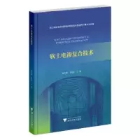 音像软土电渗复合技术崔允亮,齐昌广著