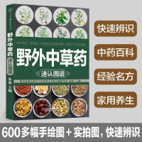 音像野外草速认图谱:::朱强主编