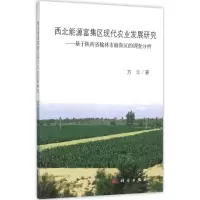 音像西北能源富集区现代农业发展研究方兰 著