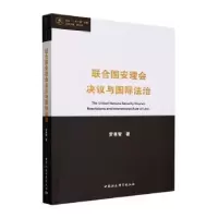 音像联合国安理会决议与国际法治罗孝智著