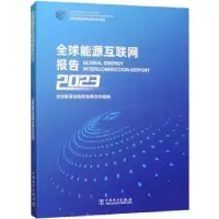 音像全球能源互联网报告:20全球能源互联网发展合作组织[组编]