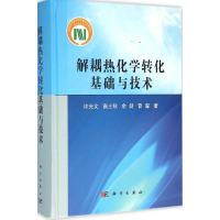 音像解耦热化学转化基础与技术许光文 等 著