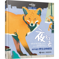 音像城市里的野生动物朋友 夜行者澳大利亚孤独星球出版公司