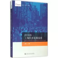 音像2016年上海民生发展报告王泠一 主编