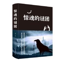 音像惊魂的谜团(精)编者:姜波|责编:雨墨