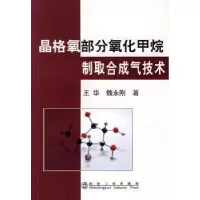 音像晶格氧部分氧化甲烷制取合成气技术王华,魏永刚 著