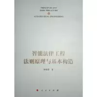 音像智能法律工程法则原理与基本构造杨晓雷著