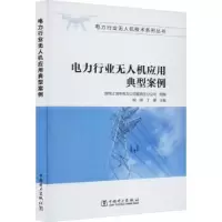 音像电力行业机应用典型案例倪祺,丁建主编