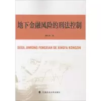 音像地下金融风险的刑法控制廖天虎 著