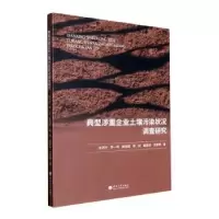 音像典型涉重企业土壤污染状况调查研究张洪玲[等]著