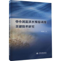 音像中小河流洪水预报调度关键技术研究钱镜林著