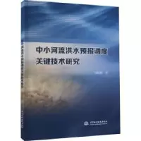 音像中小河流洪水预报调度关键技术研究钱镜林著