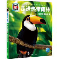音像走进热带雨林(德)雅丽珊德拉‧韦德斯