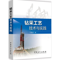 音像钻采工艺技术与实践刘延平 编