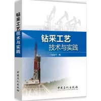音像钻采工艺技术与实践刘延平 编