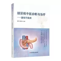 音像糖尿病中医诊断与治疗:基础与临床倪青,张美珍主编