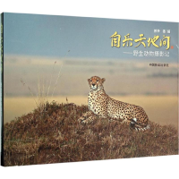 音像自乐天地间曾铮 著摄