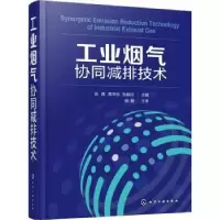 音像工业烟气协同减排技术彭犇,高华东,张殿印主编