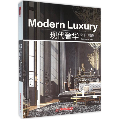 音像现代奢华DAM工作室 主编