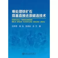 音像难处理铁矿石煤基直接还原磁选技术孙体昌[等]著