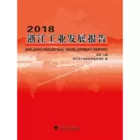 音像2018浙江工业发展报告张耕主编