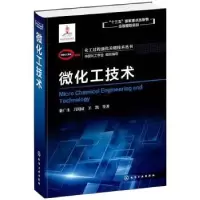 音像微化工技术骆广生,吕阳生,王凯等著